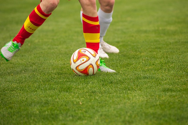 Césped híbrido para campos de fútbol