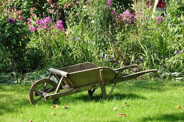 Jardinería y hierba artificial